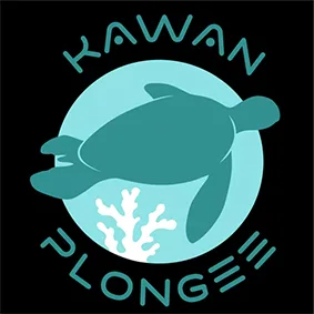 Sainte-Luce Kawan Plongée